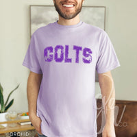 Distressed Varsity Colts (Tees+Sweatshirts)