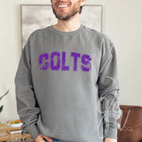 Distressed Varsity Colts (Tees+Sweatshirts)