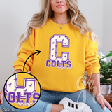 Custom School Spirit Mascot Initials